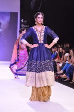 Model walk the ramp for Adora on Day 4 of IIJW 2013 on 7th Aug 2013 (30).JPG